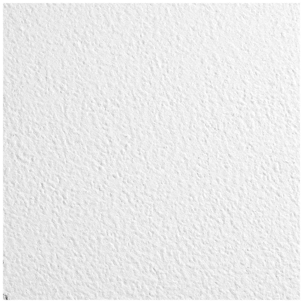 Armstrong Ceiling Tile,48 in L,24 in W,PK12 672