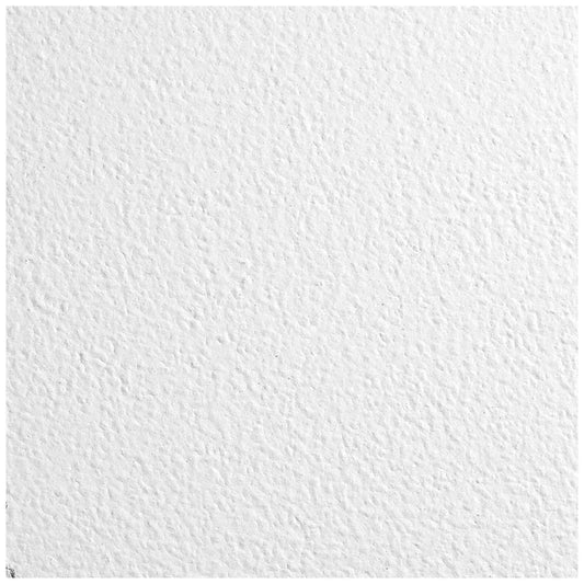 Armstrong Ceiling Tile,48 in L,24 in W,PK12 672