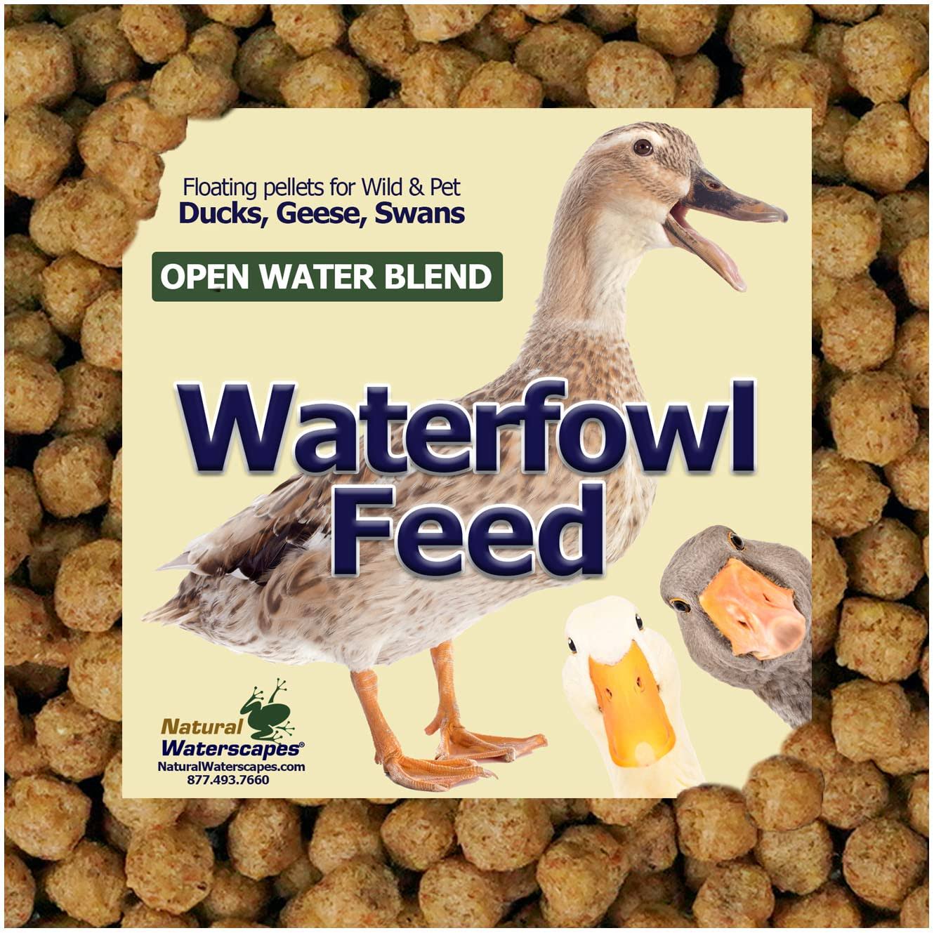 Waterfowl Feed Open Water Diet 40 lb - Natural Waterscapes