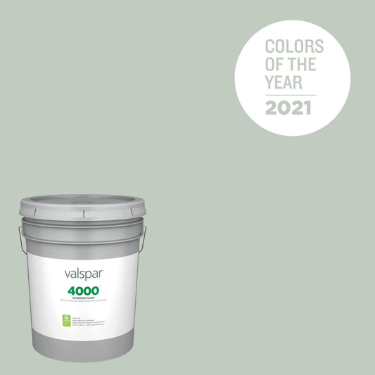 Valspar 4000 Eggshell Garden Flower 5004-3b Latex Interior Paint 5004-3B-447517