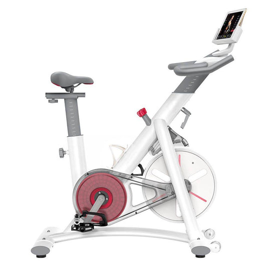 Yesoul S3 Exercise Bike Smart Stationary Bike - Magnetic Resistance Bluetooth Spin Bikes for Home Indoor Bike Workout